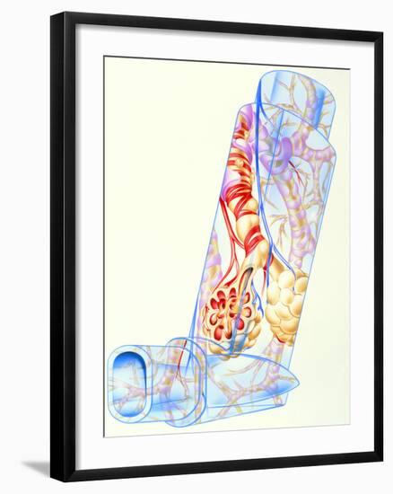 Artwork of Asthmatic Respiratory System on Inhaler-John Bavosi-Framed Photographic Print