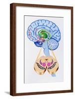 Artwork of Brain Areas In Parkinson's Disease.-John Bavosi-Framed Photographic Print