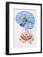 Artwork of Brain Areas In Parkinson's Disease.-John Bavosi-Framed Photographic Print