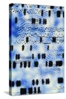 Artwork of DNA Sequences And a Human Fingerprint-PASIEKA-Stretched Canvas