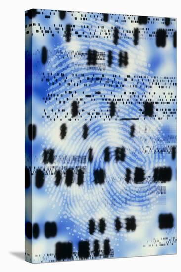 Artwork of DNA Sequences And a Human Fingerprint-PASIEKA-Stretched Canvas