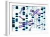 Artwork of DNA Sequences And Chromosomes-PASIEKA-Framed Photographic Print