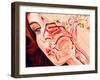 Artwork of Ear, Nose & Throat In a Cold Sufferer-John Bavosi-Framed Photographic Print