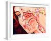 Artwork of Ear, Nose & Throat In a Cold Sufferer-John Bavosi-Framed Photographic Print
