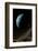 Artwork of Exoplanet HD69830-null-Framed Photographic Print