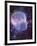 Artwork of Human Head with Brain & EEG Brainwaves-Mehau Kulyk-Framed Photographic Print