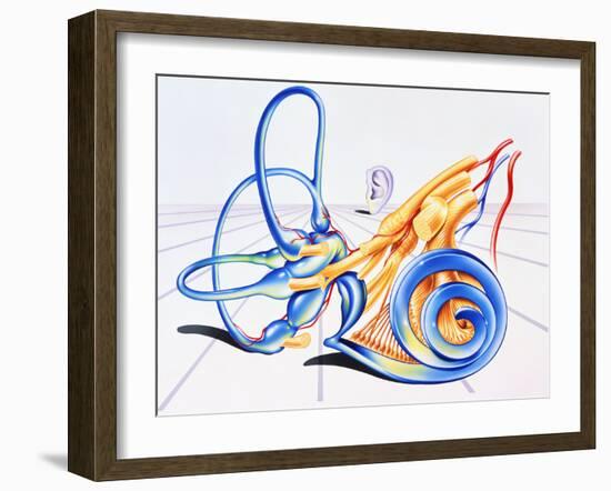 Artwork of Inner Ear-John Bavosi-Framed Photographic Print