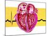 Artwork of Sectioned Heart with Healthy ECG Trace-John Bavosi-Mounted Photographic Print