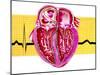 Artwork of Sectioned Heart with Healthy ECG Trace-John Bavosi-Mounted Photographic Print