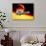 Artwork of Siriko In Orbit.-Julian Baum-Photographic Print displayed on a wall