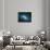 Artwork of the Orbits of the Planets-Victor Habbick-Mounted Photographic Print displayed on a wall