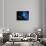 Artwork of the Solar System with Planetary Orbits-Detlev Van Ravenswaay-Photographic Print displayed on a wall