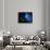 Artwork of the Solar System with Planetary Orbits-Detlev Van Ravenswaay-Framed Photographic Print displayed on a wall