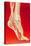 Artwork Showing Calcaneal Spur And Foot Pain-John Bavosi-Stretched Canvas