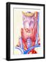 Artwork Showing the Thyroid Gland-John Bavosi-Framed Photographic Print