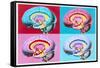 Artworks Showing the Limbic System of the Brain-John Bavosi-Framed Stretched Canvas