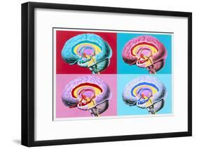 Artworks Showing the Limbic System of the Brain-John Bavosi-Framed Photographic Print