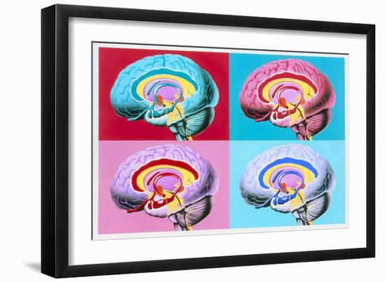 Artworks Showing the Limbic System of the Brain-John Bavosi-Framed Photographic Print