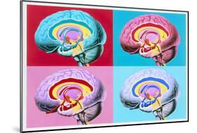 Artworks Showing the Limbic System of the Brain-John Bavosi-Mounted Photographic Print