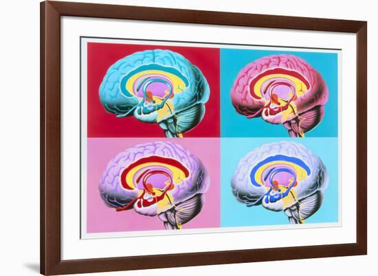 Artworks Showing the Limbic System of the Brain-John Bavosi-Framed Photographic Print