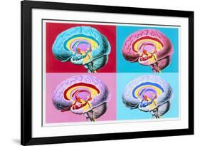 Artworks Showing the Limbic System of the Brain-John Bavosi-Framed Photographic Print