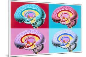 Artworks Showing the Limbic System of the Brain-John Bavosi-Mounted Photographic Print