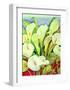 Arum Lilies-Lillian Delevoryas-Framed Art Print