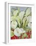 Arum Lillies, 1978-Lillian Delevoryas-Framed Giclee Print