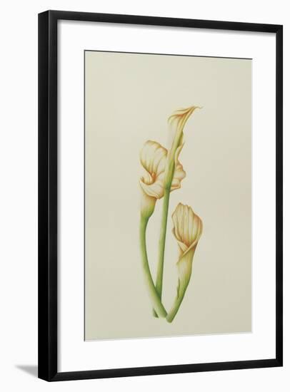 Arum Lily, 2001-Annabel Barrett-Framed Giclee Print