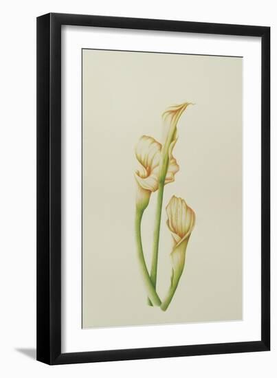 Arum Lily, 2001-Annabel Barrett-Framed Giclee Print