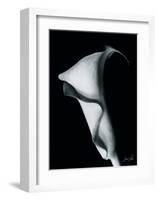 Arum Lily I-Bruce Rae-Framed Giclee Print