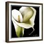 Arum Lily Ii-Cherie Roe Dirksen-Framed Giclee Print