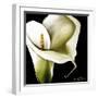 Arum Lily Ii-Cherie Roe Dirksen-Framed Giclee Print