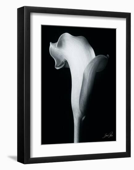 Arum Lily IV-Bruce Rae-Framed Giclee Print