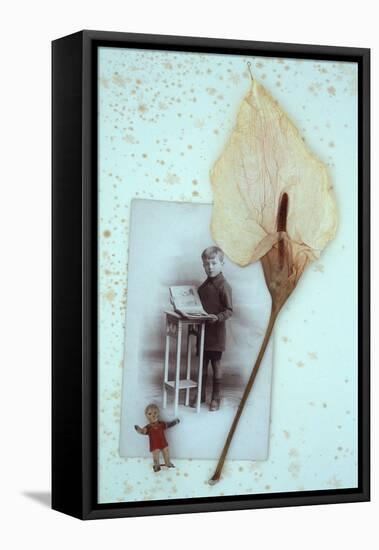 Arum Lily-Den Reader-Framed Stretched Canvas