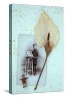 Arum Lily-Den Reader-Stretched Canvas