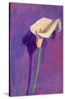 Arum Lily-Sara Hayward-Stretched Canvas