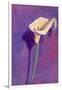 Arum Lily-Sara Hayward-Framed Giclee Print