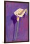 Arum Lily-Sara Hayward-Framed Giclee Print