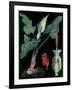 Arum-null-Framed Giclee Print