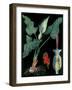 Arum-null-Framed Giclee Print