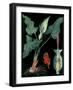 Arum-null-Framed Giclee Print