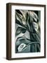 Arums II-Tamara de Lempicka-Framed Premium Giclee Print