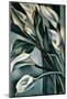 Arums II-Tamara de Lempicka-Mounted Premium Giclee Print