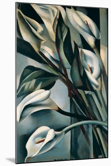 Arums II-Tamara de Lempicka-Mounted Premium Giclee Print