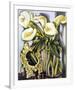 Arums III-Tamara de Lempicka-Framed Premium Giclee Print