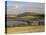 Arun Valley in Food, with South Downs Beyond, Bury, Sussex, England, United Kingdom, Europe-Pearl Bucknall-Stretched Canvas