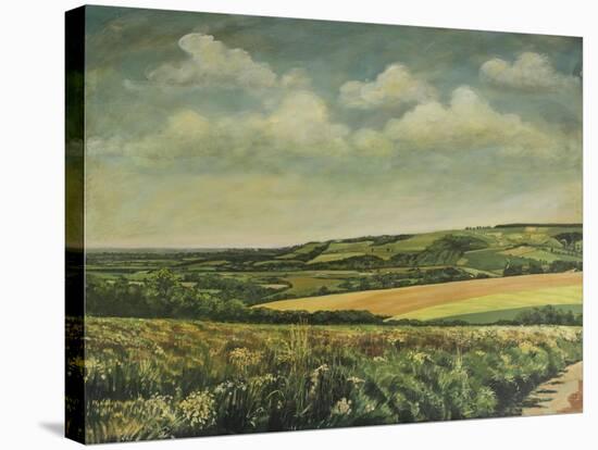 Arundel Castle from the Downs, 1995-Margaret Hartnett-Stretched Canvas