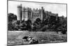 Arundel Castle, West Sussex, Early 20th Century-Francis & Co Frith-Mounted Giclee Print