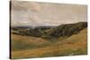 Arundel Park, with Deer, 1880-Thomas Collier-Stretched Canvas